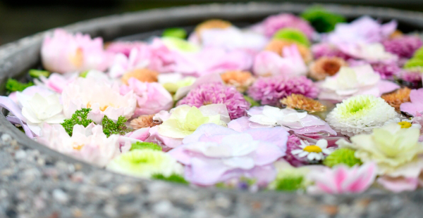 吉原近隣の住宅事情